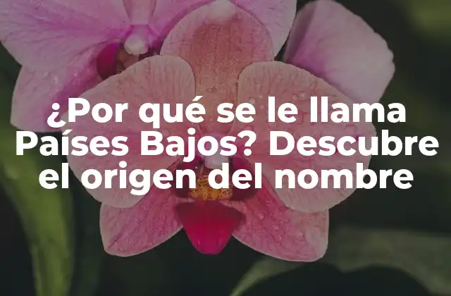 ¿por Qué Se Le Llama Países Bajos? Descubre el Origen Del Nombre