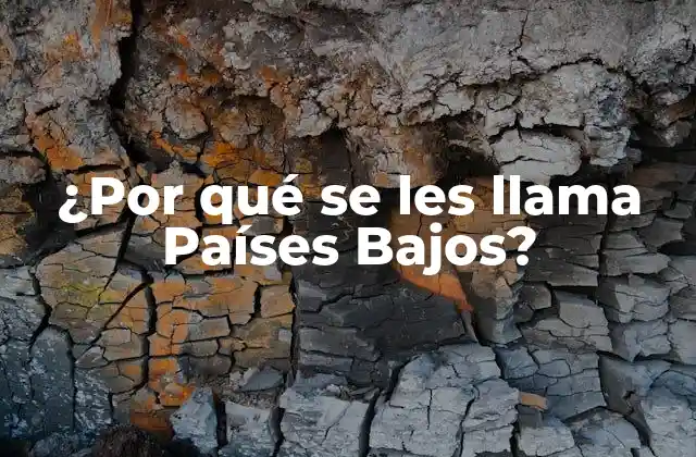 ¿por Qué Se Les Llama Países Bajos?