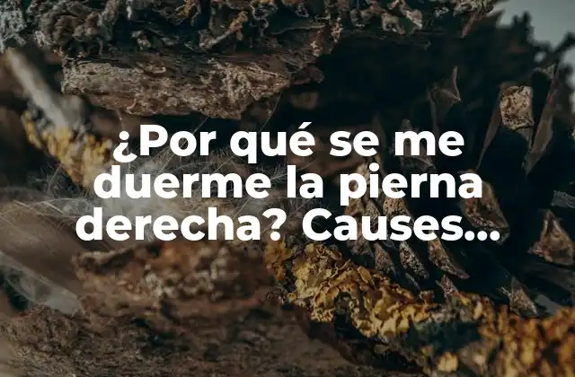 ¿por Qué Se Me Duerme la Pierna Derecha? Causes, Symptoms, And Treatment