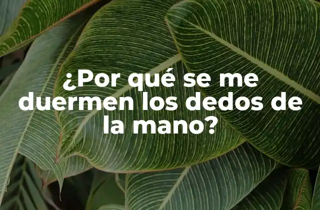 ¿por Qué Se Me Duermen los Dedos de la Mano?
