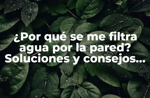 ¿por Qué Se Me Filtra Agua por la Pared? Soluciones y Consejos Prácticos