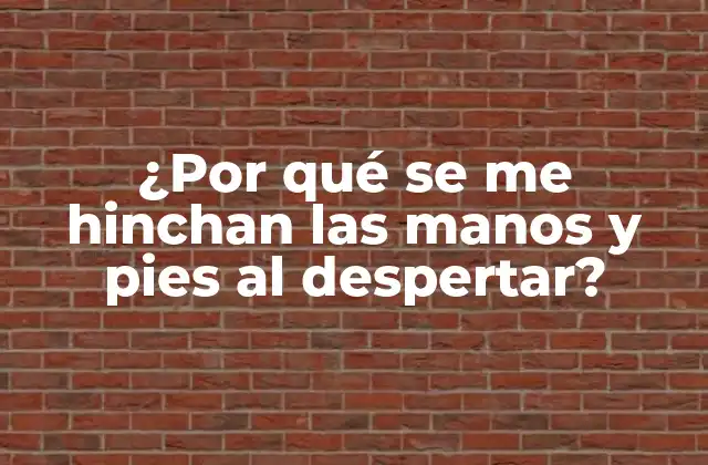 ¿por Qué Se Me Hinchan las Manos y Pies Al Despertar?