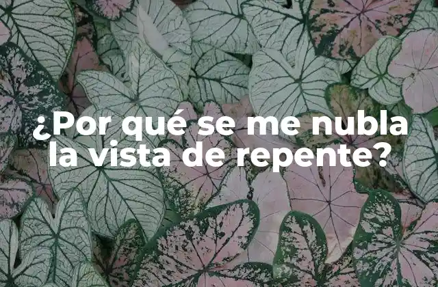 ¿por Qué Se Me Nubla la Vista de Repente?