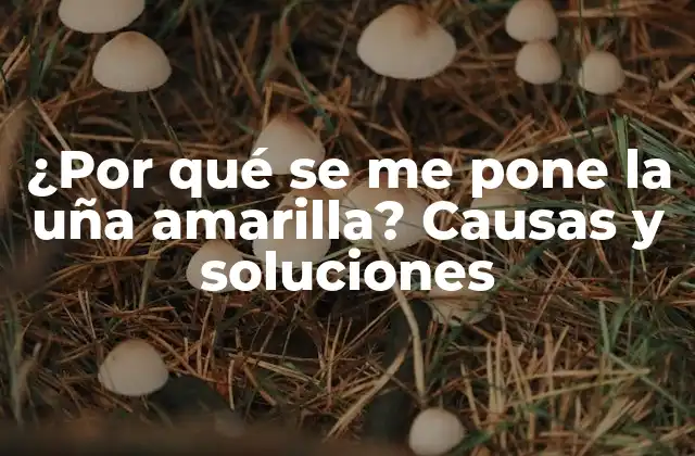 ¿por Qué Se Me Pone la Uña Amarilla? Causas y Soluciones
