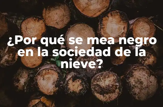 ¿por Qué Se Mea Negro en la Sociedad de la Nieve?