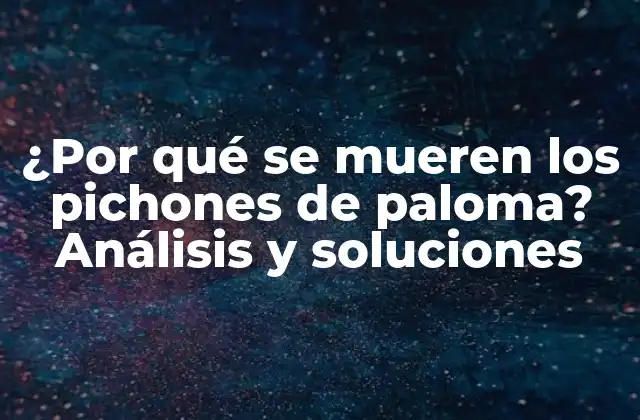 ¿por Qué Se Mueren los Pichones de Paloma? Análisis y Soluciones