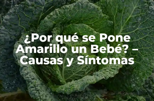 ¿por Qué Se Pone Amarillo un Bebé? – Causas y Síntomas