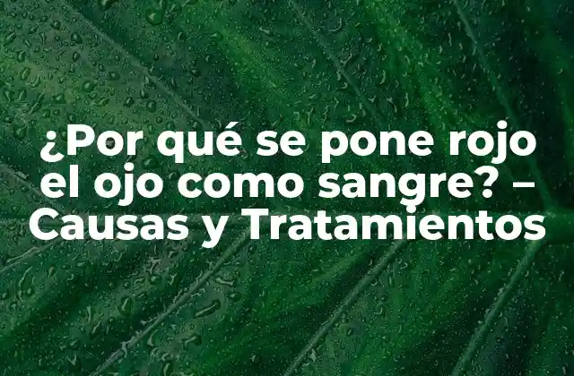 ¿por Qué Se Pone Rojo el Ojo como Sangre? – Causas y Tratamientos