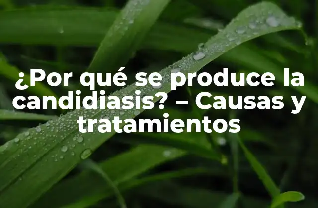 ¿por Qué Se Produce la Candidiasis? – Causas y Tratamientos