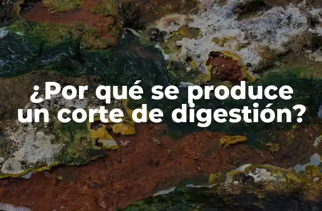 ¿por Qué Se Produce un Corte de Digestión?