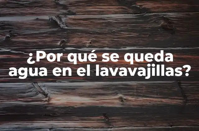 ¿por Qué Se Queda Agua en el Lavavajillas?