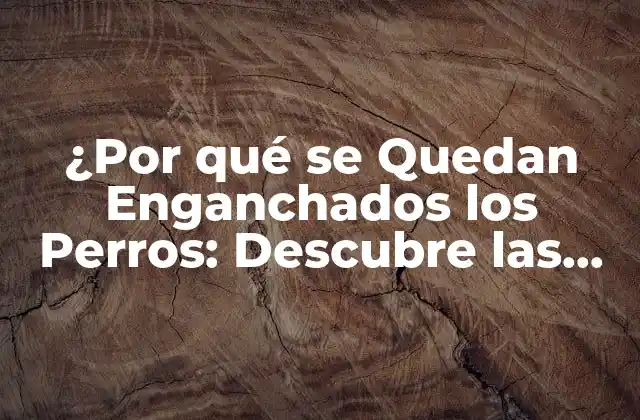 ¿por Qué Se Quedan Enganchados los Perros: Descubre las Razones y Soluciones