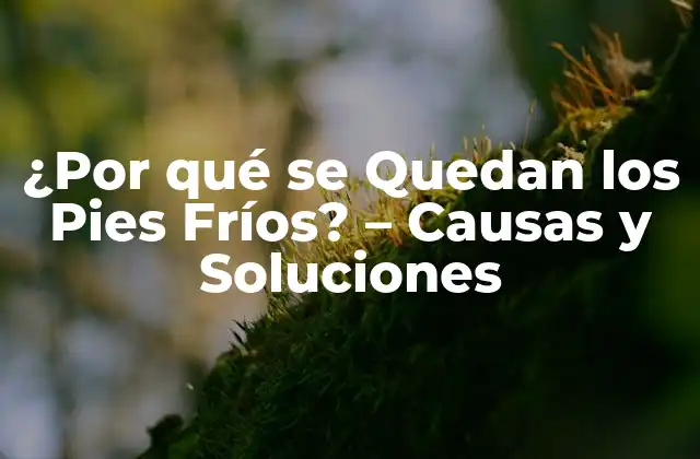 ¿por Qué Se Quedan los Pies Fríos? – Causas y Soluciones