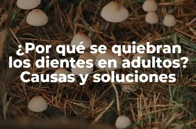 ¿por Qué Se Quiebran los Dientes en Adultos? Causas y Soluciones