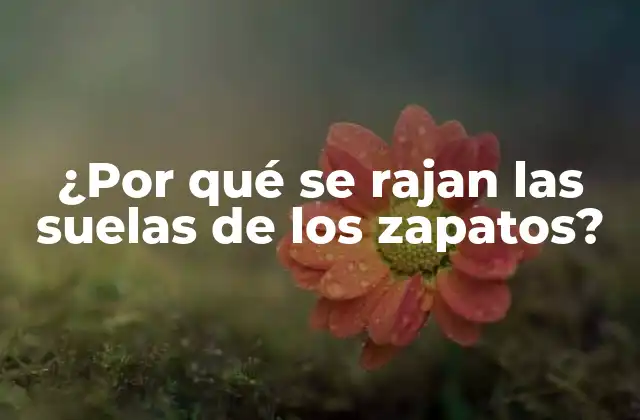 ¿por Qué Se Rajan las Suelas de los Zapatos?