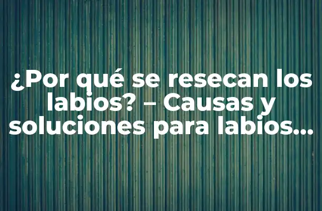 ¿por Qué Se Resecan los Labios? - Causas y Soluciones para Labios Secos y Agrietados 2 Causas de los labios resecos y agrietados
