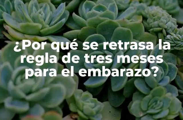 ¿por Qué Se Retrasa la Regla de Tres Meses para el Embarazo?