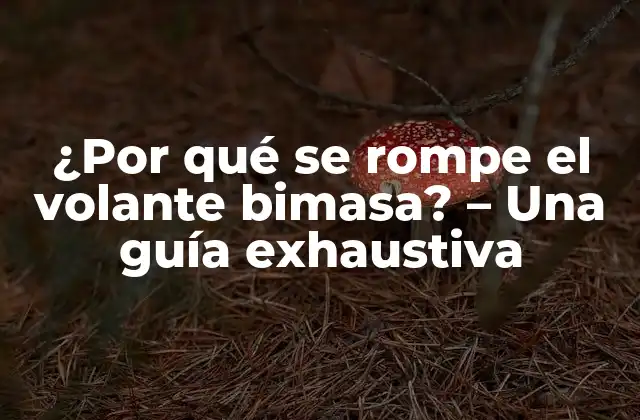 ¿por Qué Se Rompe el Volante Bimasa? – una Guía Exhaustiva