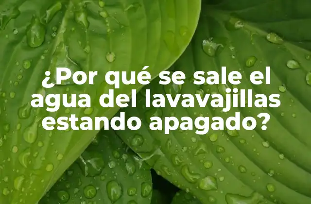 ¿por Qué Se Sale el Agua Del Lavavajillas Estando Apagado?