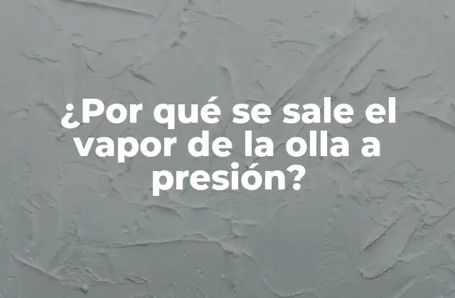 ¿por Qué Se Sale el Vapor de la Olla a Presión? 2 La teoría del vapor y la presión