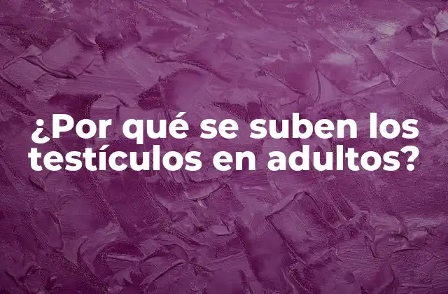 ¿por Qué Se Suben los Testículos en Adultos?