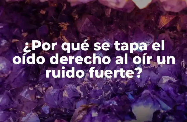 ¿por Qué Se Tapa el Oído Derecho Al Oír un Ruido Fuerte?
