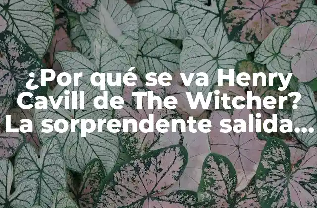 ¿por Qué Se Va Henry Cavill de The Witcher? la Sorprendente Salida Del Actor de la Serie de Netflix