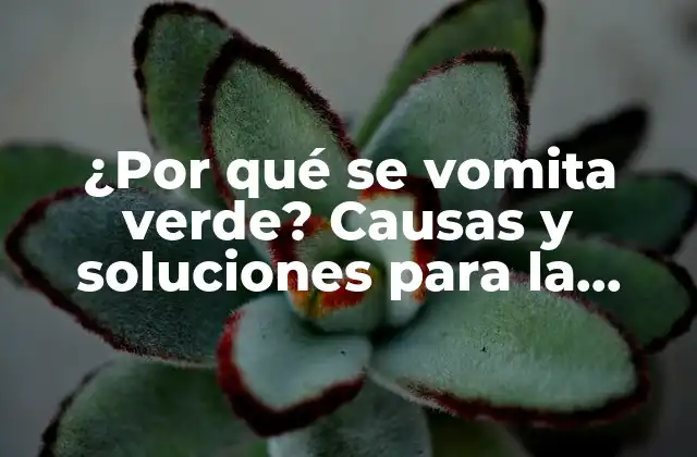 ¿por Qué Se Vomita Verde? Causas y Soluciones para la Eliminación de Materias Verdes