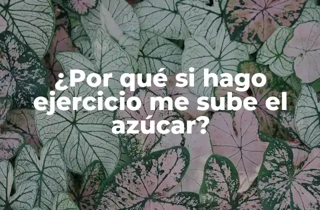 ¿por Qué Si Hago Ejercicio Me Sube el Azúcar?