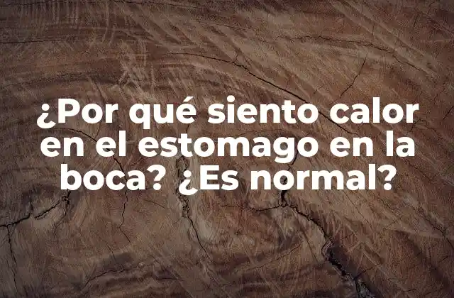 ¿por Qué Siento Calor en el Estomago en la Boca? ¿es Normal?