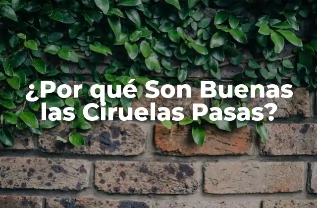 ¿por Qué Son Buenas las Ciruelas Pasas?