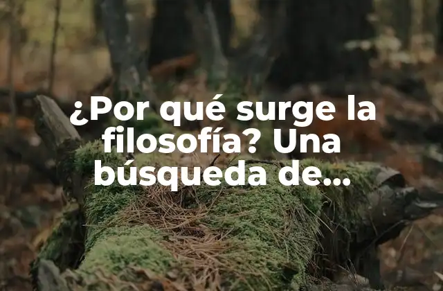 ¿por Qué Surge la Filosofía? una Búsqueda de Respuestas Eternas