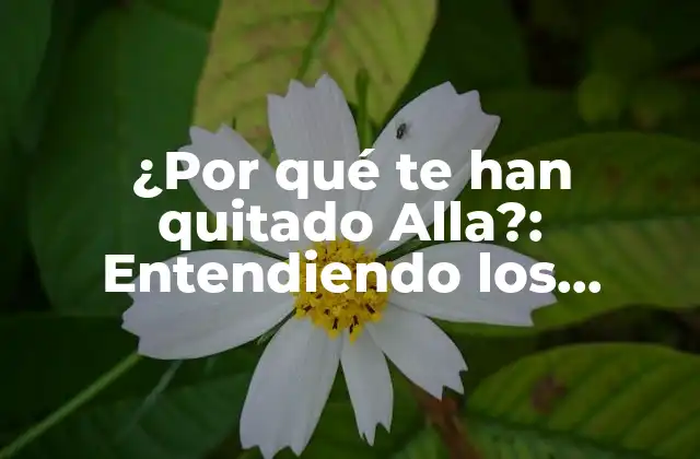 ¿por Qué Te Han Quitado Alla?: Entendiendo los Motivos Detrás de la Decisión de Google
