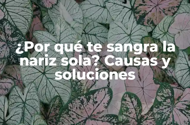 ¿por Qué Te Sangra la Nariz Sola? Causas y Soluciones