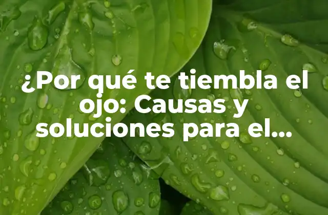 ¿por Qué Te Tiembla el Ojo: Causas y Soluciones para el Temblor Ocular