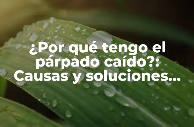 ¿por Qué Tengo el Párpado Caído?: Causas y Soluciones para el Párpado Ptósico