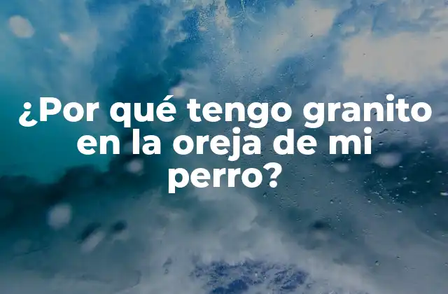 ¿por Qué Tengo Granito en la Oreja de Mi Perro?