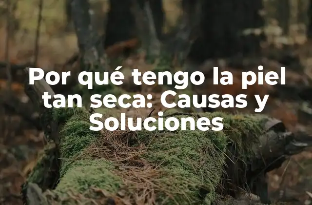 Por Qué Tengo la Piel Tan Seca: Causas y Soluciones