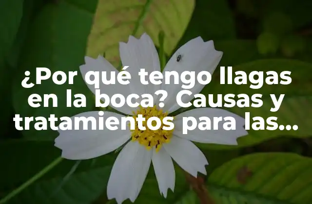 ¿por Qué Tengo Llagas en la Boca? Causas y Tratamientos para las Llagas Bucales