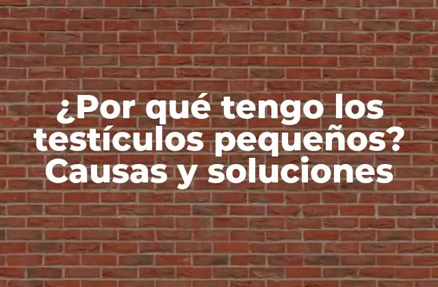 ¿por Qué Tengo los Testículos Pequeños? Causas y Soluciones
