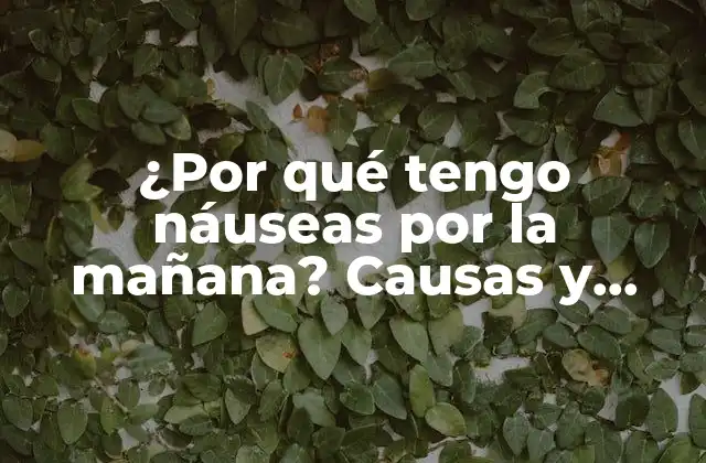 ¿por Qué Tengo Náuseas por la Mañana? Causas y Soluciones