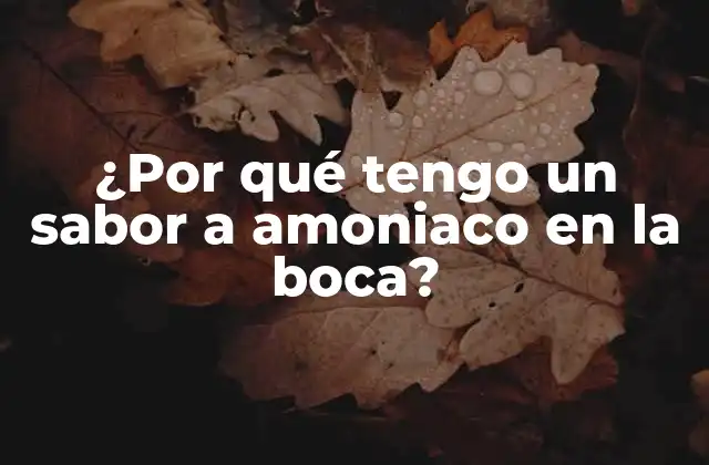 ¿por Qué Tengo un Sabor a Amoniaco en la Boca?