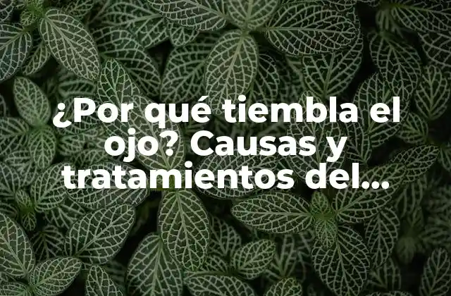 ¿por Qué Tiembla el Ojo? Causas y Tratamientos Del Temblor Ocular