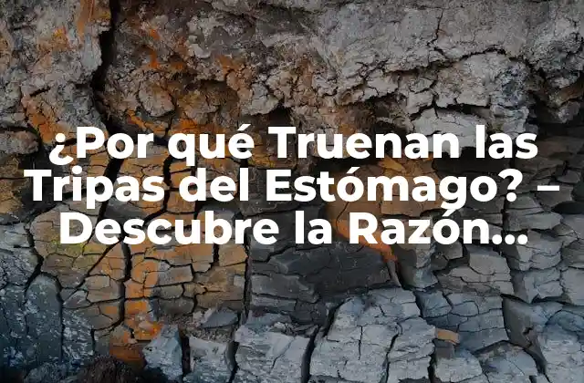 ¿por Qué Truenan las Tripas Del Estómago? – Descubre la Razón Detrás de Este Fenómeno