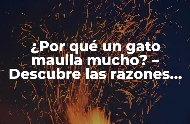 ¿por Qué un Gato Maulla Mucho? – Descubre las Razones Detrás Del Maullido Excesivo de Tu Felino