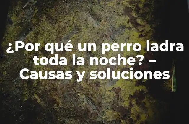 ¿por Qué un Perro Ladra Toda la Noche? – Causas y Soluciones
