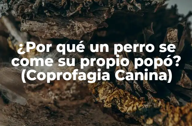 ¿por Qué un Perro Se Come Su Propio Popó? (coprofagia Canina)