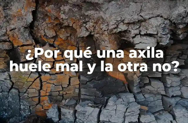 La anatomía de las axilas: ¿Por qué son diferentes?