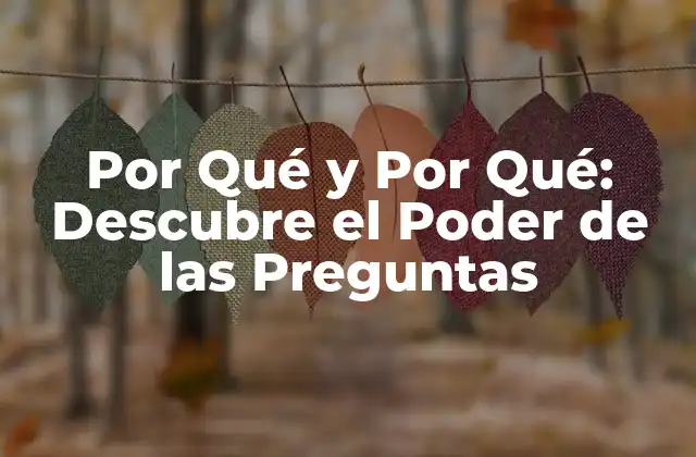 Por Qué y por Qué: Descubre el Poder de las Preguntas