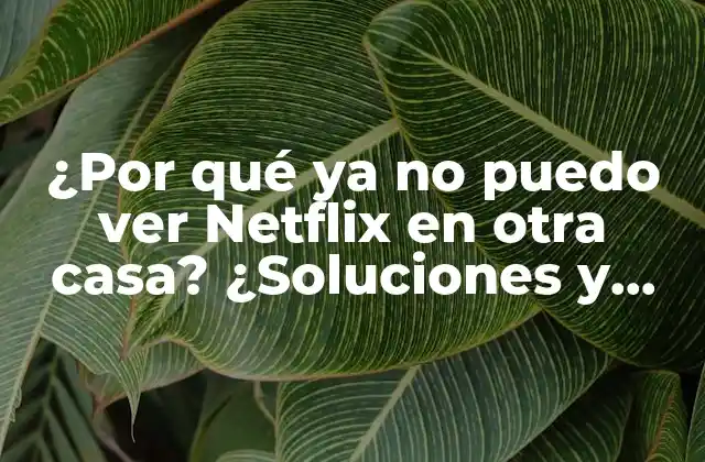 ¿por Qué Ya No Puedo Ver Netflix en Otra Casa? ¿soluciones y Explicaciones?